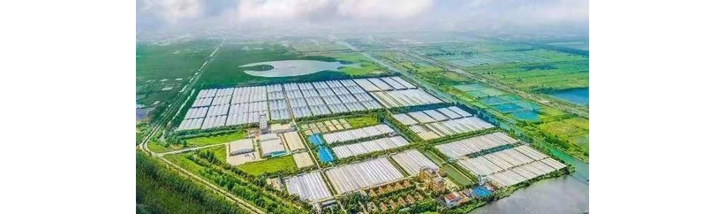 5G、手機(jī)、鴻蒙外，華為有一條低調(diào)硬核賽道，3年做到環(huán)球第一