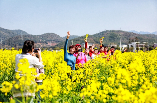 江西全南：踏春賞花合法時