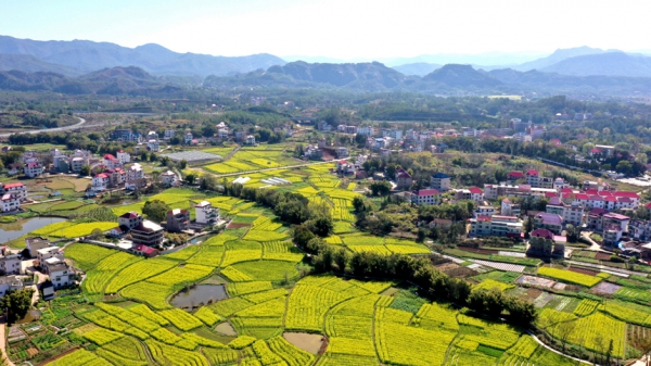 江西興國：春到村落景如畫