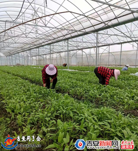 微信圖片_20220408154708
