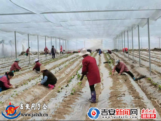 微信圖片_20220408154716